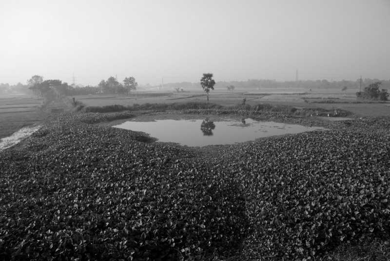 Road Trip To Mayapur