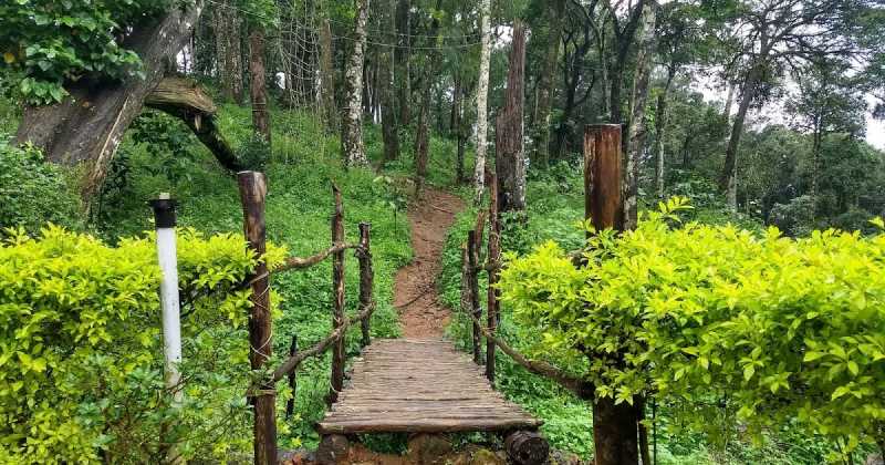 Road Tripping To Wayanad!