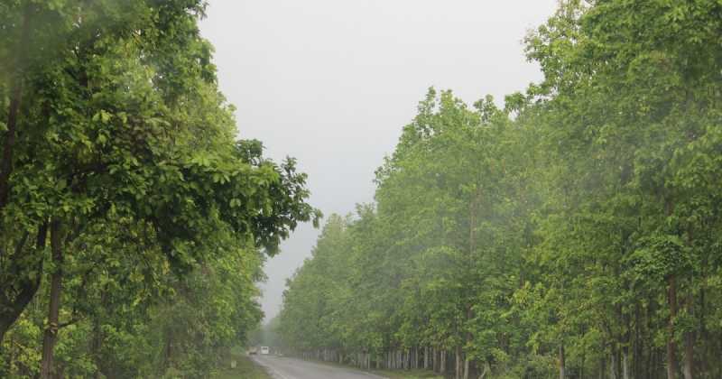 Road Trip To BHUTAN From GUWAHATI