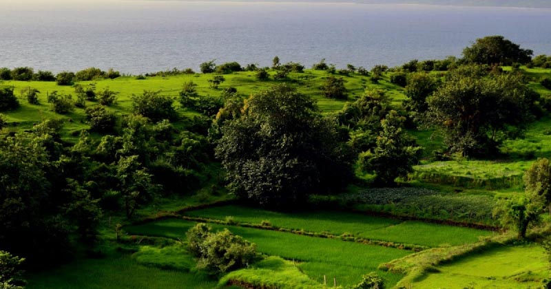 Road Trip To And Around Diveagar In Monsoon