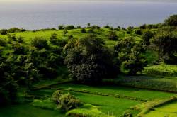 Road trip to and around Diveagar in monsoon