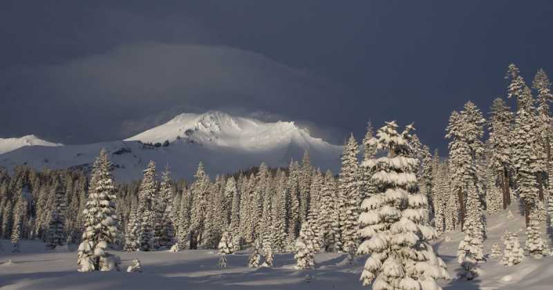 Roadtrip To Crater Lake And Mt. Shasta