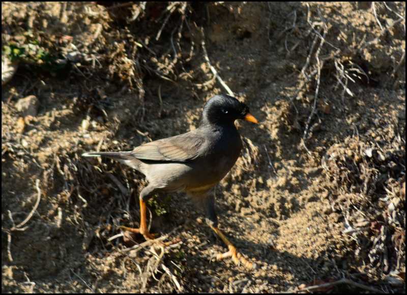 Roadtrip To Munnar By Bike