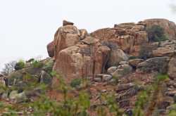 Rocks That Stood Apart