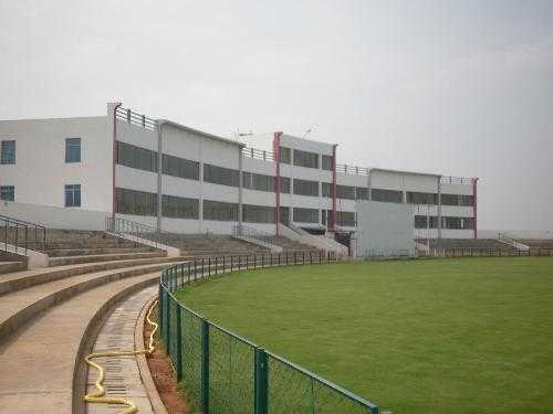 Romance With Cricket