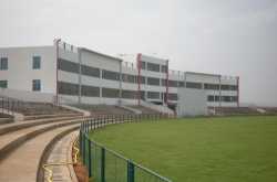 Romance with Cricket