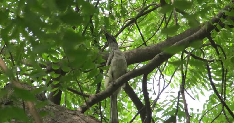 Romancing Around Ibaadat!