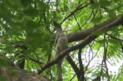 Romancing around Ibaadat!