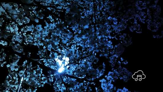 Romantics!7 Min Read