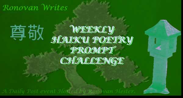 RonovanWrites #Weekly #Haiku #Poetry Prompt #Challenge #253 Slip&Tip