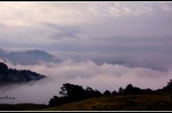 Roopkund Chronicles - Day 3 - Ali Bugyal to Pathar Nachauni