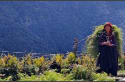 Roopkund Trek: Ghaeroli Patal 