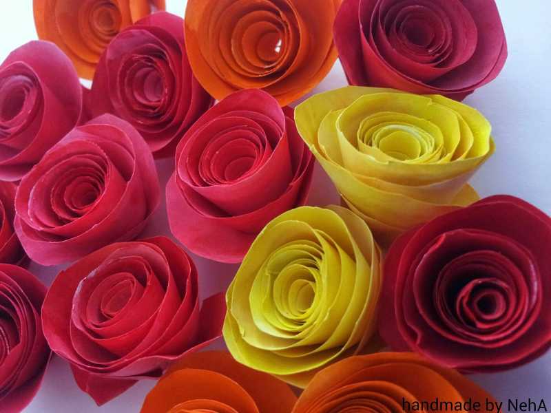 Roses On Newspaper Frame