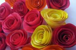 Roses on newspaper frame