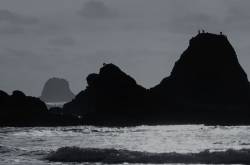 Ruby Beach - Olympic National Park