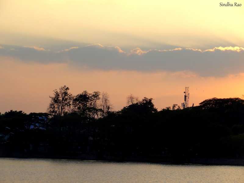 Running Pinkathon For The First Time ?