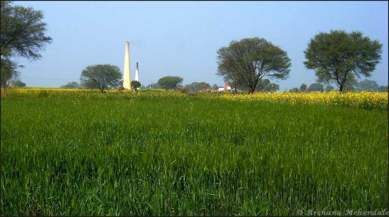 Rustic Charm Of Chambal