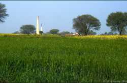 Rustic Charm of Chambal