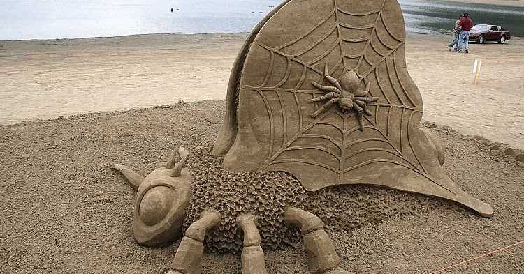 SAND CASTLES Competition In Oregon