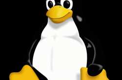 SCP and Rsync - Transfer Files From Local to Remote - Testing Excellence