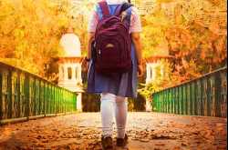 SECRET SUPERSTAR STORY REVIEW,CAST&CREW,BUDGET,RELE...