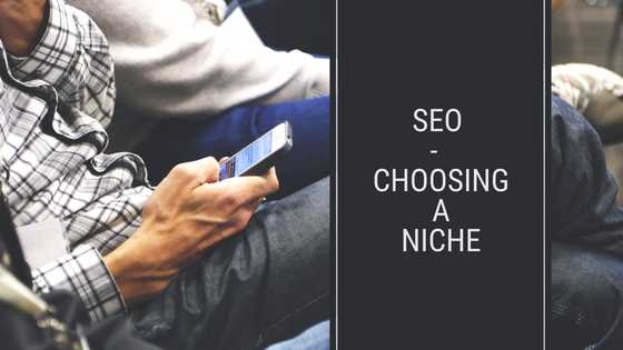 SEO - Choosing A Niche
