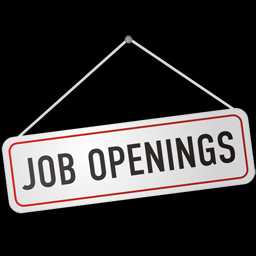 SEO Jobs Opening In CogniBrain, Chennai, India