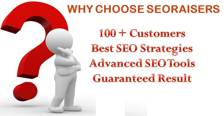 SEORAISERS: SEO COMPANY IN CHANDIGARH