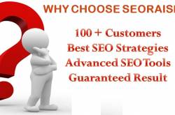 SEORAISERS: SEO COMPANY IN CHANDIGARH