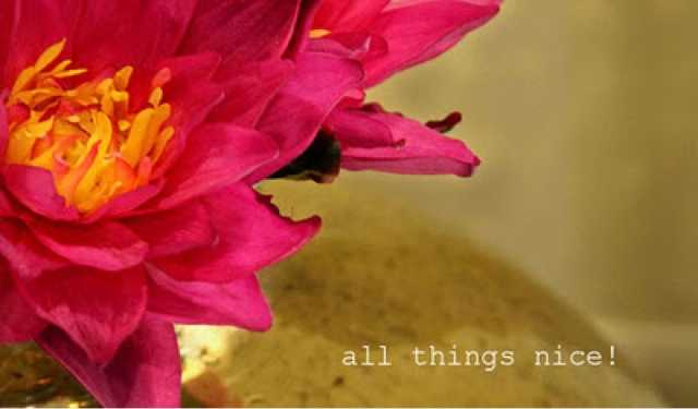 SHALINI PEREIRA ON SHALINI GANGULI