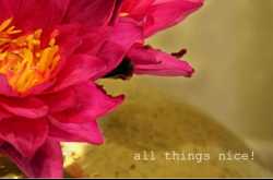 SHALINI PEREIRA ON SHALINI GANGULI