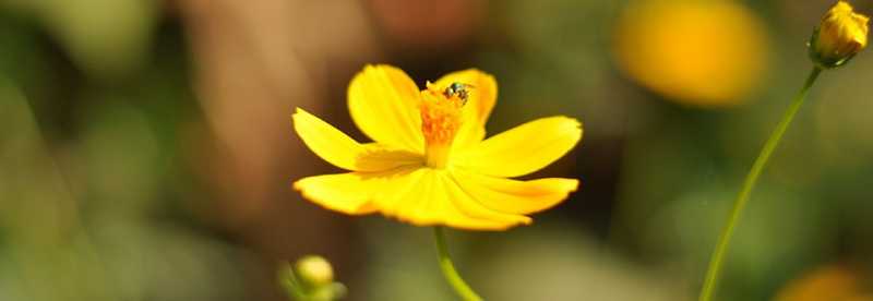 SIA - SIA Photography - Photography Workshops And Photo Tours