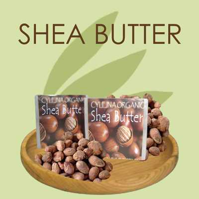 SKIN  BENEFITS OF SHEA  BUTTER