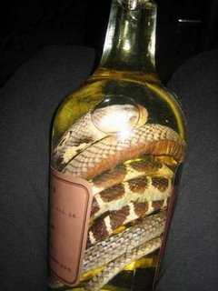 SNAKE WINE