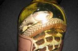 SNAKE WINE