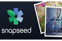 SNIPS: Professional quality photo edits 