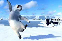 SOME THOUGHTS IN ENGLISH ON GUJJU BLOG - Aanshik