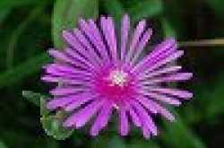 SPIRITUAL DEVELOPMENT