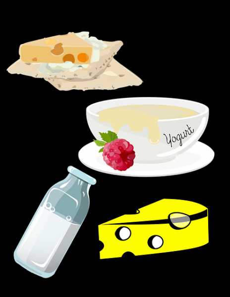 Sabse Jyada Protein Kisme Hota Hai, Benefits, Fayde