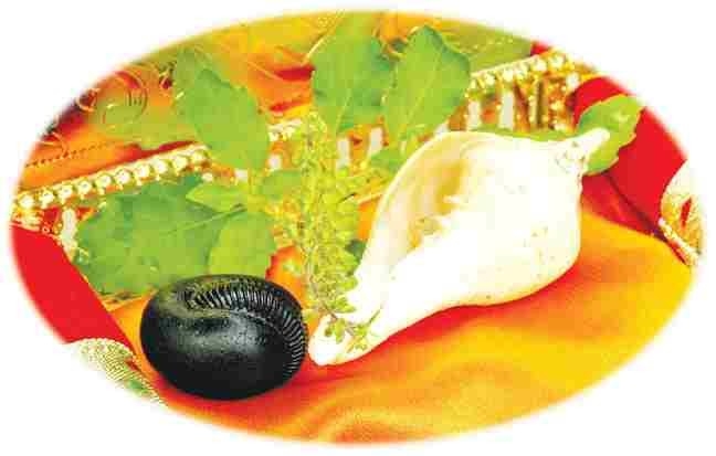 Sacred Saligramam ( Saligrama )