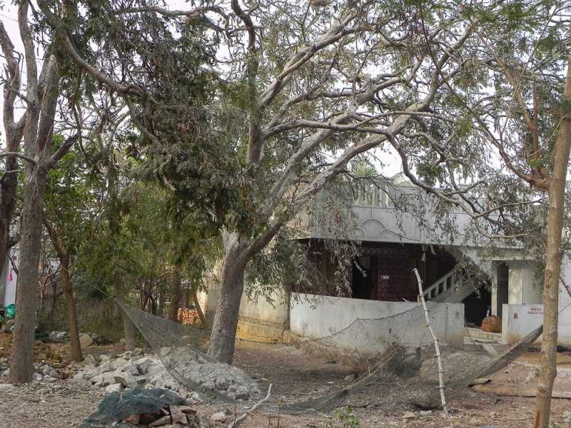 Safe Haven: Telineelapuram For Pelicans And Painted Storks