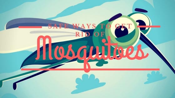 Safest Ways To Get Rid Of Mosquitoes