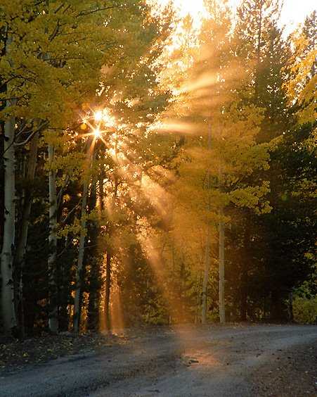 Safety And Health Tips For Summer