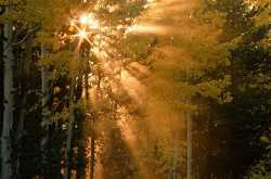 Safety and Health Tips for summer