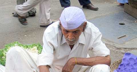 Sagar Methi/ Bombay Methi