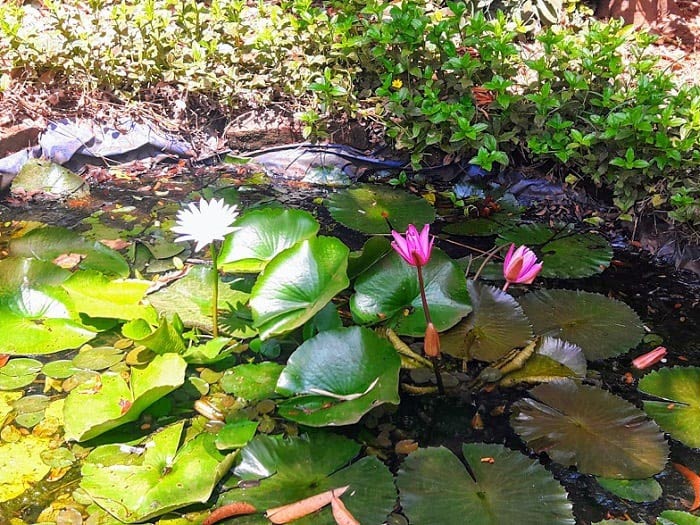 Saguna Baug Neral - A Place To Experience Village Life