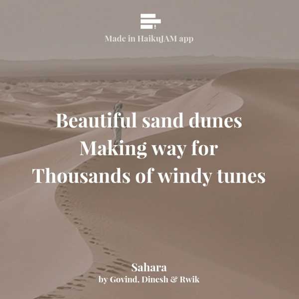 Sahara | This & That