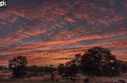 sahyankan 2017 - a journey through pictures (day 2)