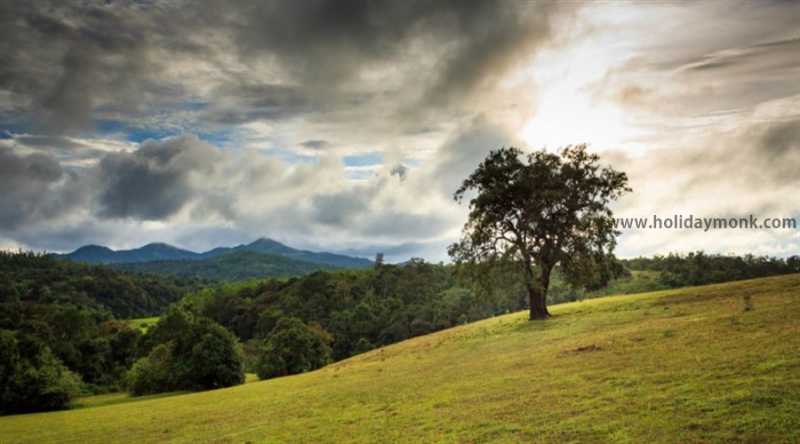 Sakleshpur Coffee Plantation Stay - Homestay In Sakleshpur | Resorts In Sakleshpur | Coffee Estate