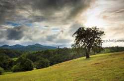 Sakleshpur Coffee Plantation Stay - Homestay in Sakleshpur | Resorts in Sakleshpur | Coffee Estate